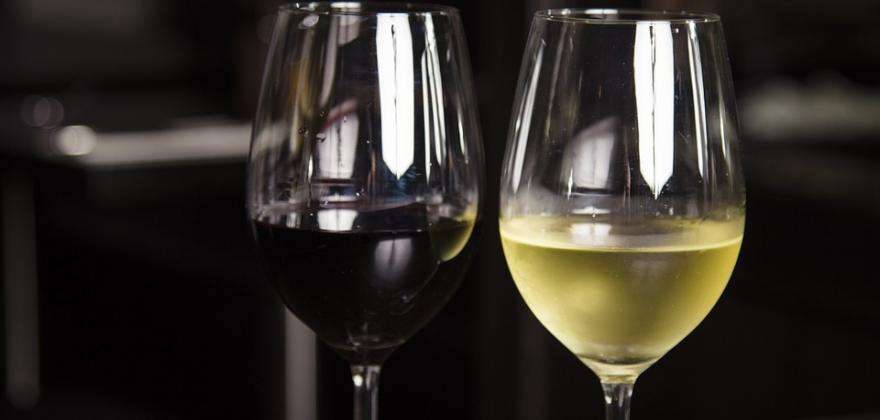 Dégustation de vins et écrivain sulfureux au programme de votre séjour.