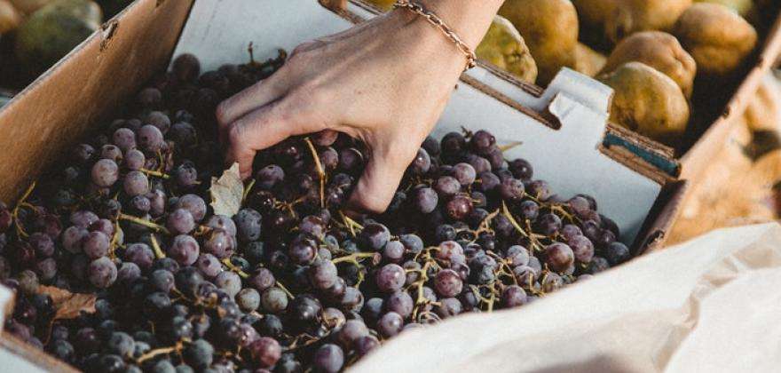 Discover the fabulous Marché des Enfants Rouges 