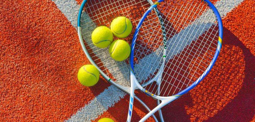 Roland-Garros 2025 : L'événement sportif incontournable de Paris