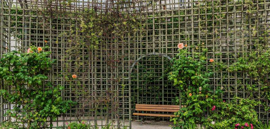 Green walks in the 3rd arrondissement