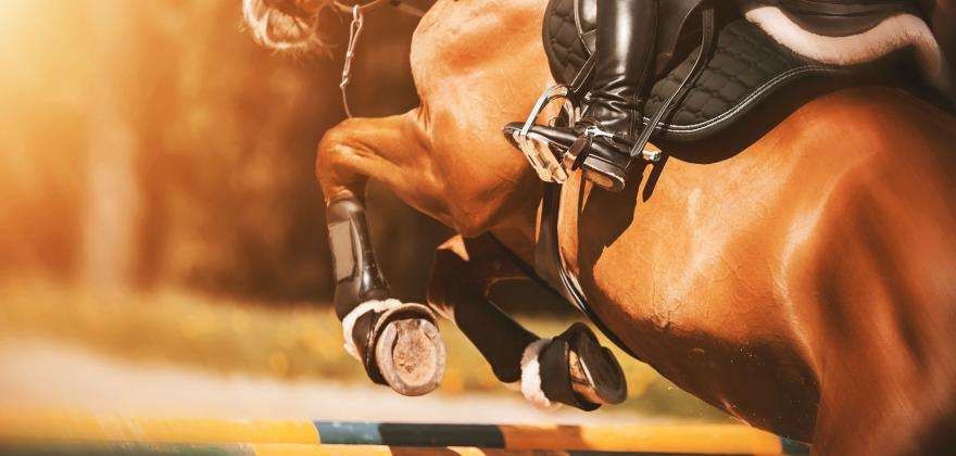 Le Saut Hermès 2025 : l’élégance équestre au cœur de Paris