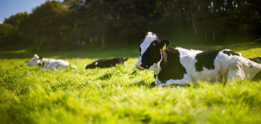 Les retrouvailles avec le Salon de l’Agriculture