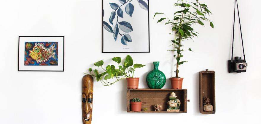 Pick up some great lifestyle ideas at the Autumn Fair