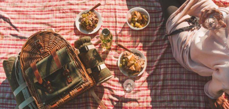 Picnics in the most picturesque parks of Paris